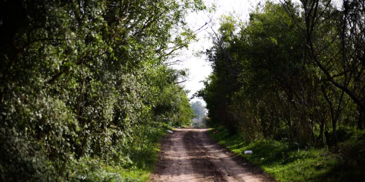 Día del Ambiente: «La Reserva de Longchamps es el último espacio verde de Brown»