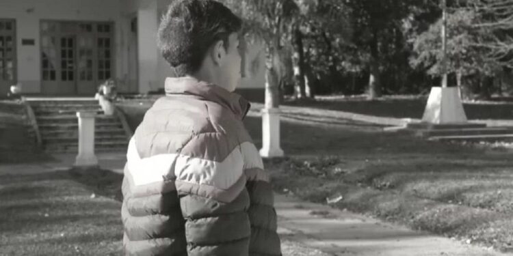 Longchamps: vive en el Hogar el Alba y necesita recibir un trasplante mientras espera ser adoptado