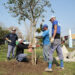 El municipio plantó árboles nativos en varios puntos del distrito