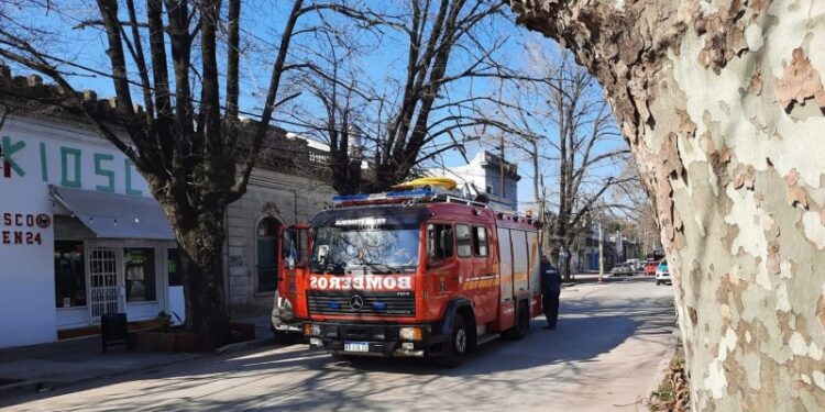 Burzaco: querían sacar un árbol y pincharon un caño de gas