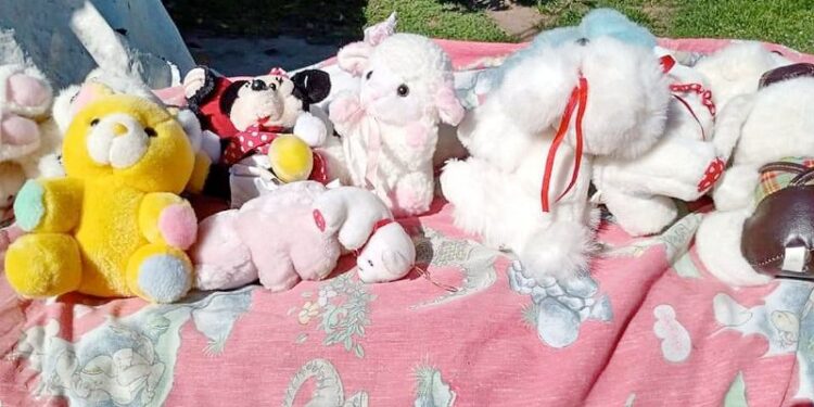 Adrogué: Comedores Solidarios ofrecerá un show para juntar juguetes en la Plaza Brown