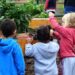 La Granja Municipal hará un Taller de Huerta para niños y niñas este sábado