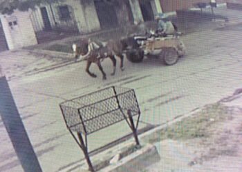 San José: advierten por tres sujetos que roban en un carro tirado por un caballo