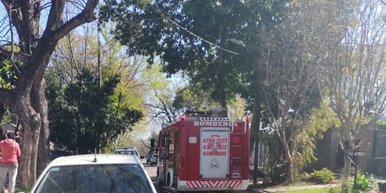 Misterio en Mármol: apareció muerto con una bolsa en la cabeza