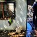 Longchamps: tres viviendas afectadas por feroz incendio