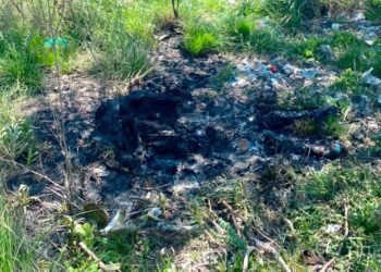 Hallan en Guernica el cadáver calcinado de un hombre