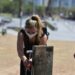 Se anticipó el verano: una semana con temperaturas por encima de los 30 grados