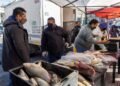 Martes de «Pescadazo» en el Congreso a $ 200 el kilo