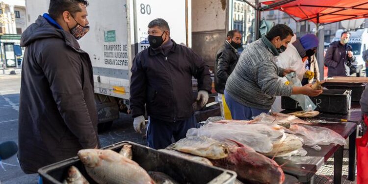 Martes de «Pescadazo» en el Congreso a $ 200 el kilo