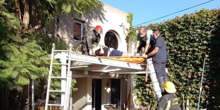 Mármol: podaba un árbol, se cayó y casi termina en tragedia