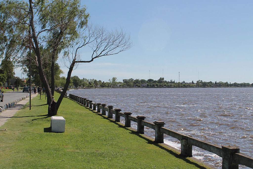 laguna de monte Brown Online