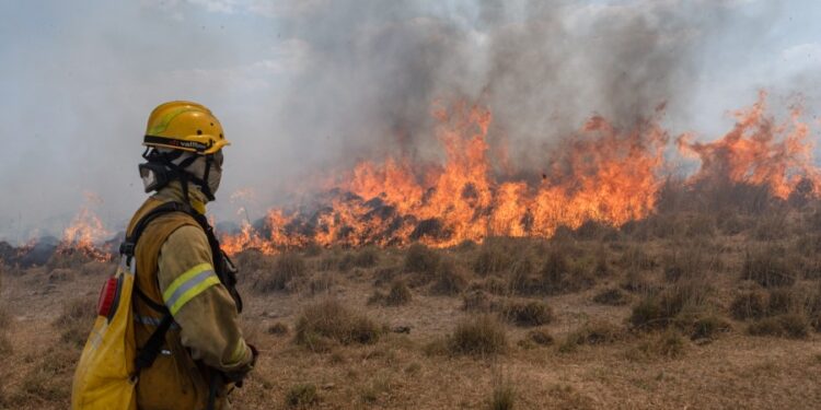 Incendios: los Bomberos de Brown reúnen donaciones para Corrientes