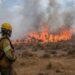 Incendios: los Bomberos de Brown reúnen donaciones para Corrientes