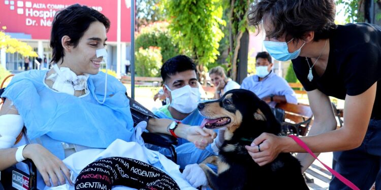 El Hospital El Cruce permite las visitas de mascotas a los pacientes
