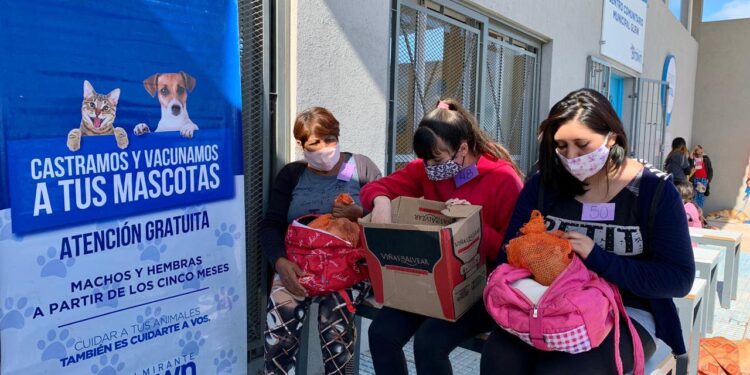 Zoonosis Brown tiene récords de prestaciones y agranda su equipo