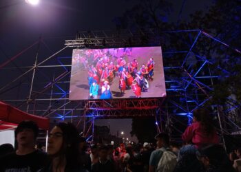 Unas 65 mil personas disfrutaron de los carnavales de Almirante Brown