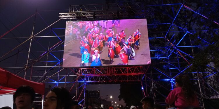 Unas 65 mil personas disfrutaron de los carnavales de Almirante Brown