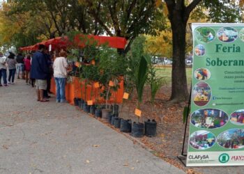 Guernica: viernes con feria de familias productoras en la plaza Belgrano