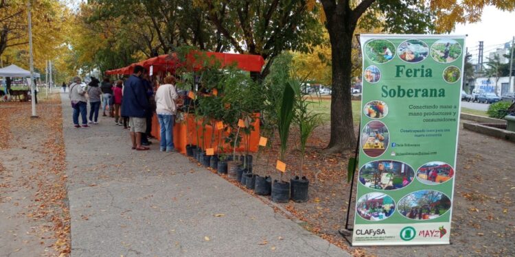 Guernica: viernes con feria de familias productoras en la plaza Belgrano