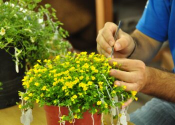 Granja Educativa: inscriben a curso de introducción a la flora nativa