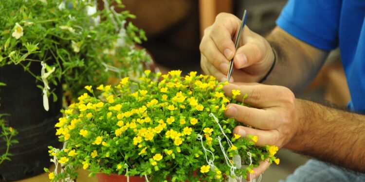 Granja Educativa: inscriben a curso de introducción a la flora nativa