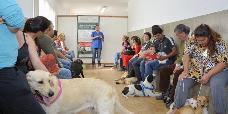 Zoonosis Brown convoca a veterinarios para seguir ampliando sus servicios