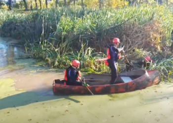 San José: los Bomberos rescataron a un perro que estaba atrapado en una «isla flotante»