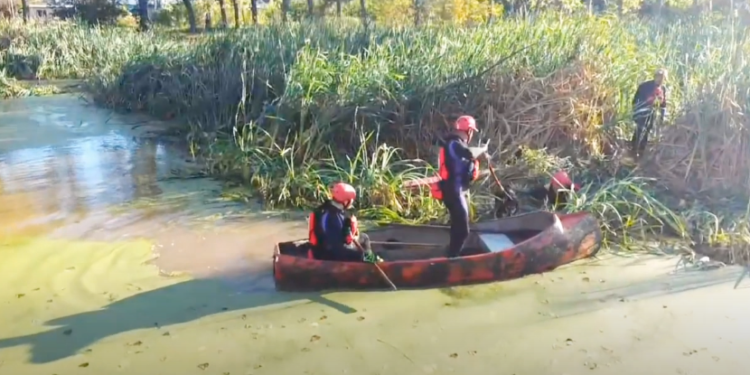 San José: los Bomberos rescataron a un perro que estaba atrapado en una «isla flotante»
