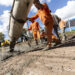 El municipio de Brown avanza con tres obras troncales de pavimentación