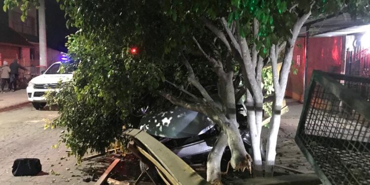 Escapó de un robo, perdió el control del auto y arrancó un árbol