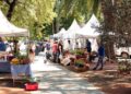 Con productos de calidad y precios accesibles crece el programa “Circuito de Ahorro Brown”