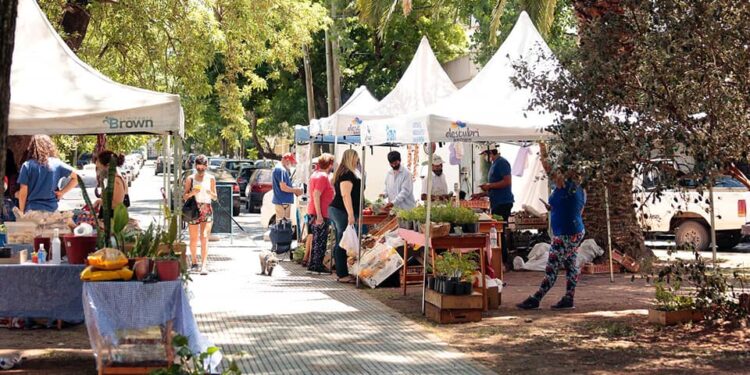 Con productos de calidad y precios accesibles crece el programa “Circuito de Ahorro Brown”