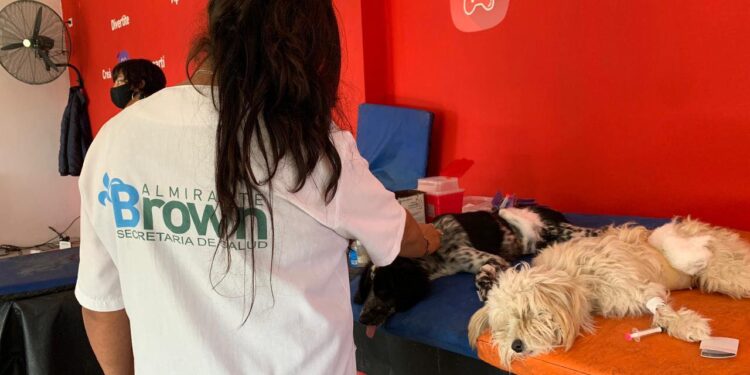 Realizan operativos de vacunación antirrábica en Calzada, Mármol y Claypole