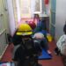 Una joven dio a luz en una escuela de Longchamps asistida por los bomberos