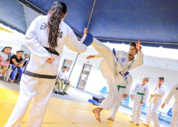Llega «Desafío Bonsai» a Burzaco, un evento de Artes Marciales abierto para escuelas de Brown