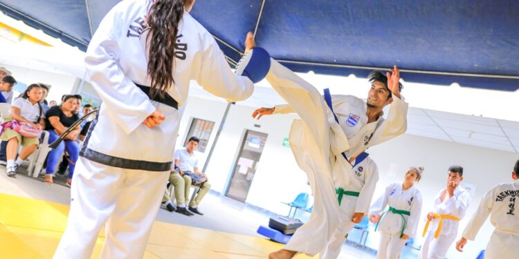 Llega «Desafío Bonsai» a Burzaco, un evento de Artes Marciales abierto para escuelas de Brown