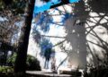La «Casa Borges» vuelve a abrir sus puertas este domingo con murales, fotos y enciclopedias