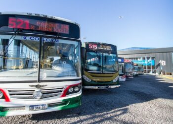 Paro de colectivos: más de 100 líneas no funcionarán este lunes feriado