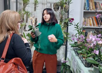 Harán una feria de orquídeas en la biblioteca de Adrogué