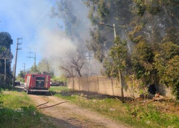 Dos dotaciones de Bomberos combatieron un incendio en un predio de Claypole