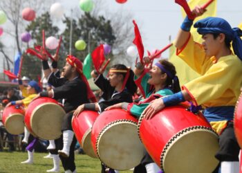 Japón en Brown: se prepara el primer Burzaco Matsuri de primavera