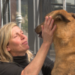 La historia de Poncho, el perro que volvió  tras dos meses gracias a Zoonosis Brown y Bomberos
