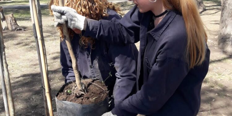 Claypole: plantaron 38 especies nativas y exóticas en el predio de la estación