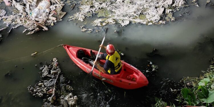 Lomas: rescataron a dos perros que se cayeron al Arroyo del Rey