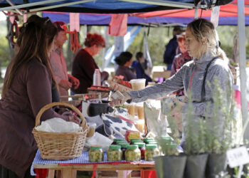 Fin de semana largo con feria de emprendedores en Claypole