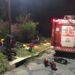 Mármol: los Bomberos rescataron un perro que había caído a una alcantarilla