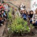 Una escuela de Burzaco convirtió un espacio abandonado en una huerta