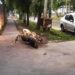 Un policía mató en Claypole a uno de los dos motochorros que lo asaltaron