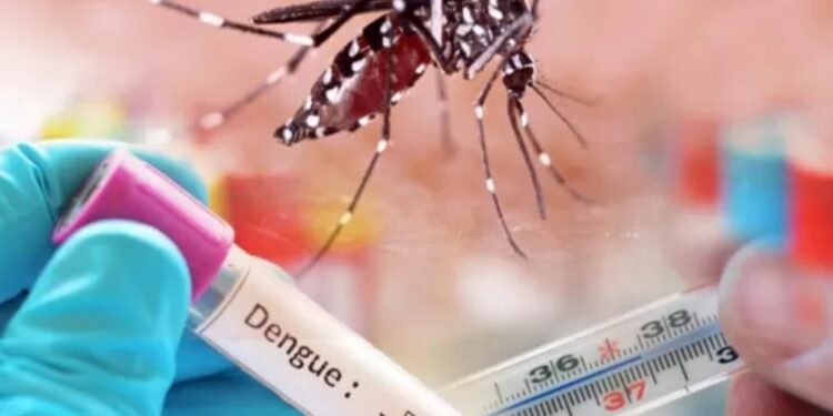 Presentaron el plan de respuesta al dengue en la Provincia