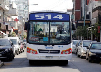Un sorpresivo paro de colectivos afecta a 50  líneas de Brown y la región